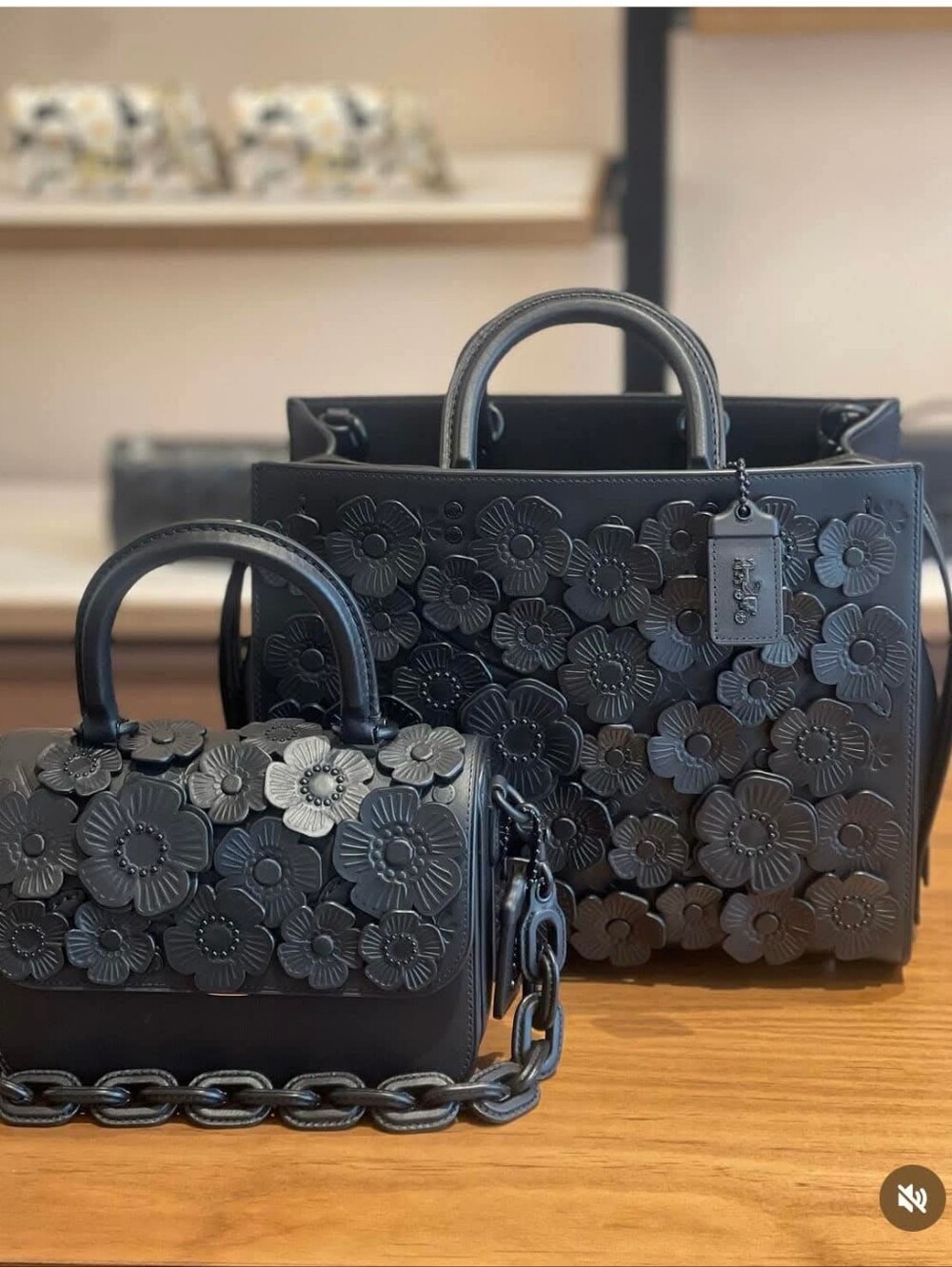 ISO: Looking For These Coach Bags